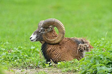 《适合雇佣》正式登陆Steam 好评如潮动作射击